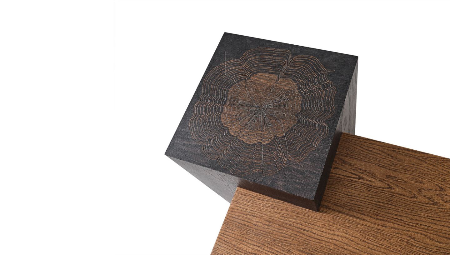 Pablo Walnut Orta Sehpa - Resim 5